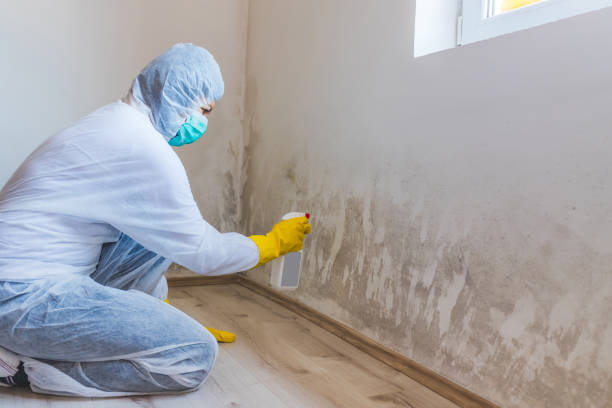 Mold Remediation specialist working in Bridgewater